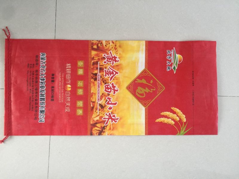 金苗小米