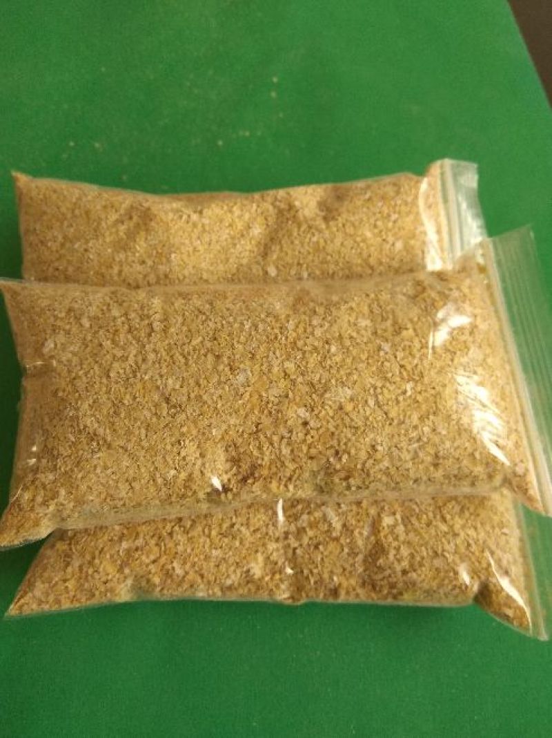 麸皮麦麸食用菌用大量供应山东麸皮