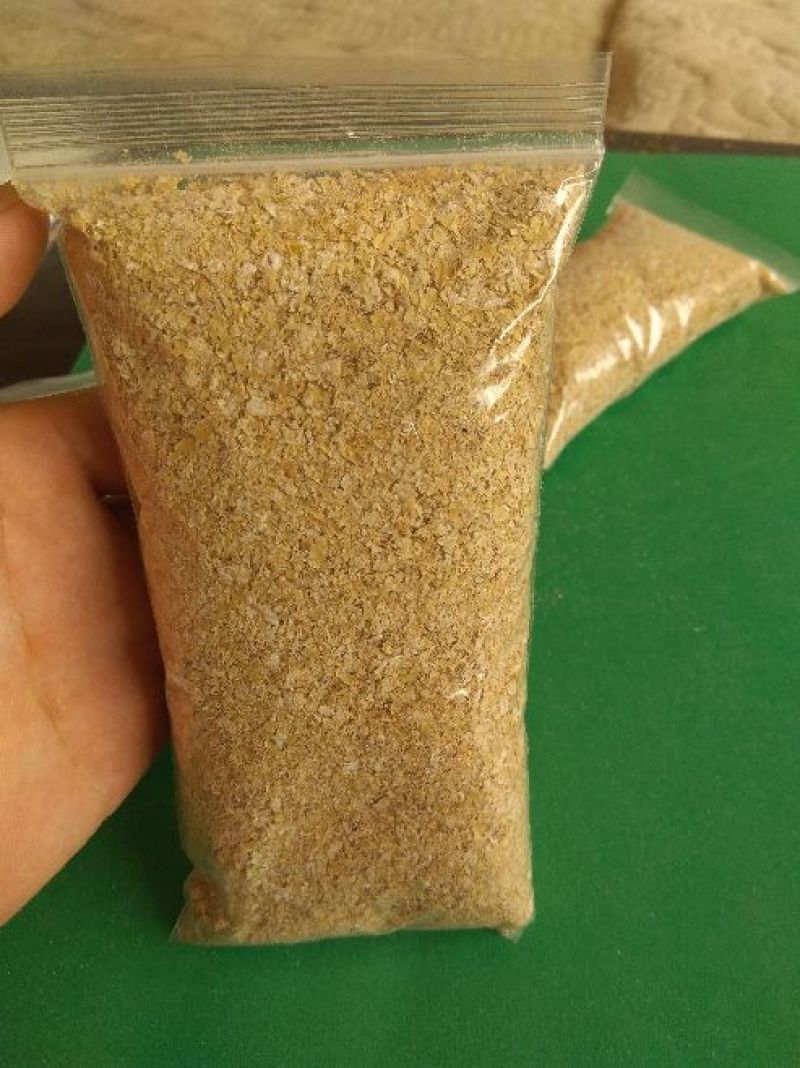 麸皮麦麸食用菌用大量供应山东麸皮