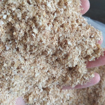 麸皮麦麸食用菌用大量供应山东麸皮