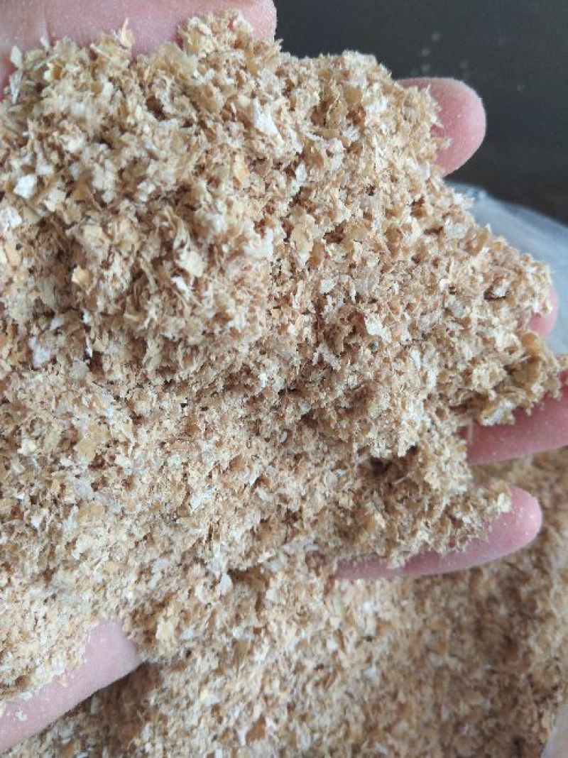 麸皮麦麸食用菌用大量供应山东麸皮