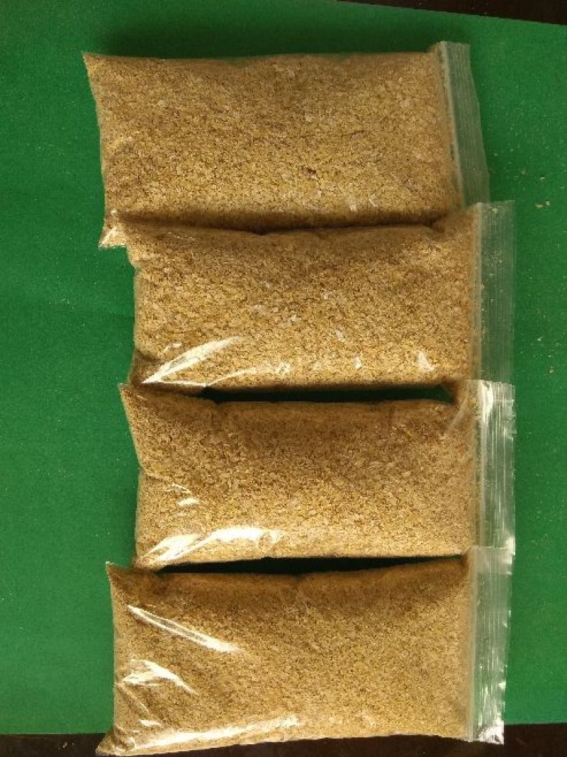 麸皮麦麸食用菌用大量供应山东麸皮
