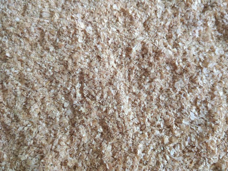 麸皮麦麸食用菌用大量供应山东麸皮