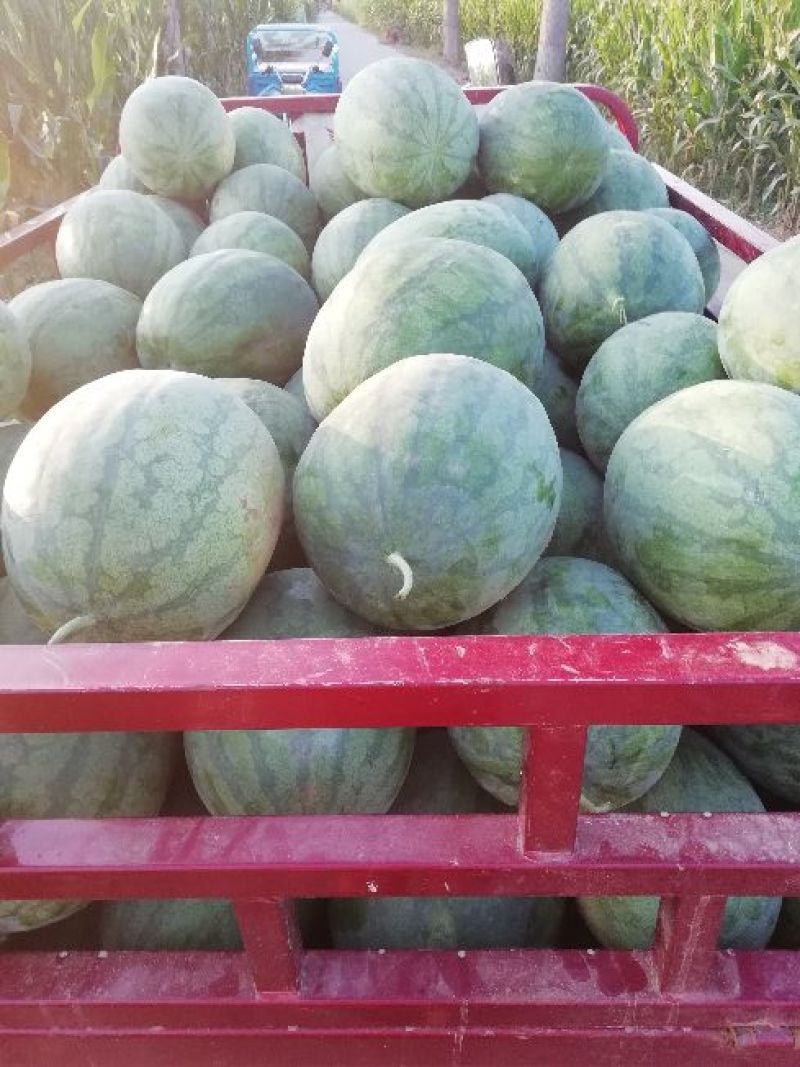 龙卷风大量供应中诚信经营质量保证，价格优惠