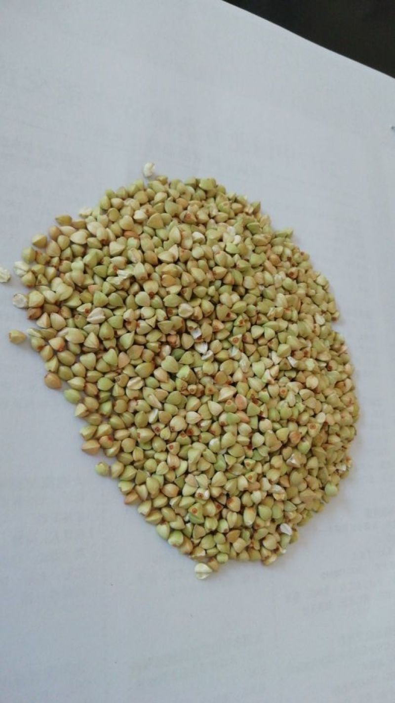 荞麦米