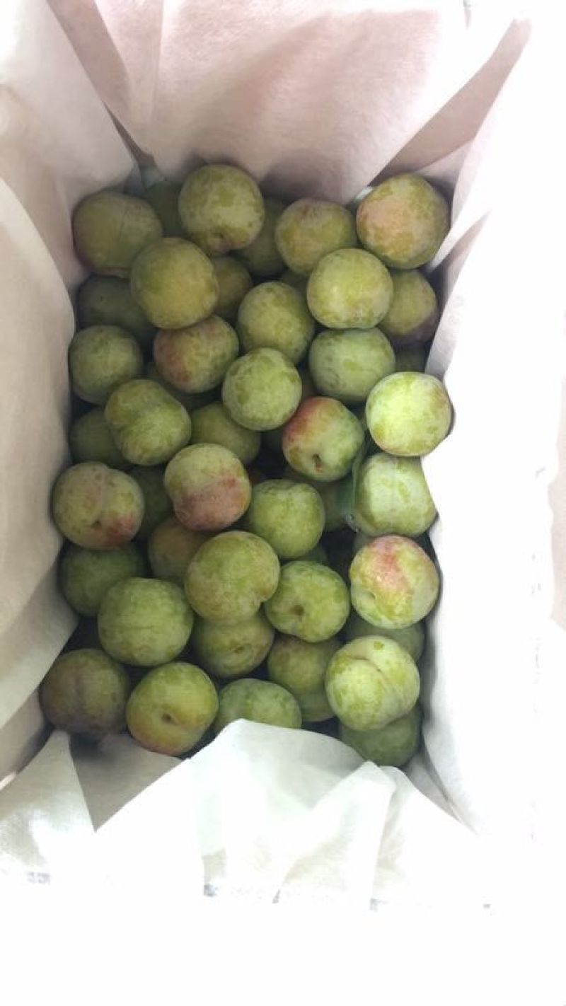 半边红李子质量有保障，物流全国发货，速度快发货速度快，包