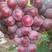 巨峰葡萄，河北辛集葡萄，甜度高，色好，颗粒均匀，