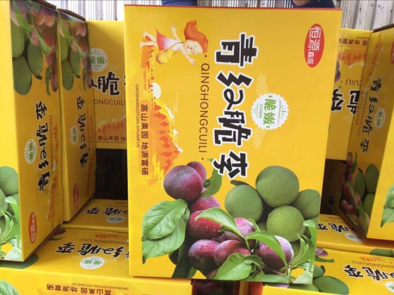 茂县晚熟凤凰李30~35mm个大，味足，口感甘甜