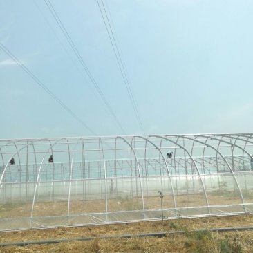 无后墙温室大棚安装设计