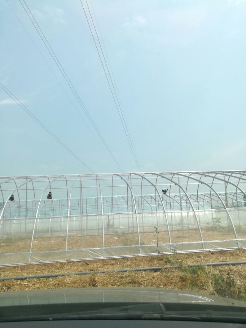 无后墙温室大棚安装设计