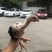 超大脚东涛鸡苗