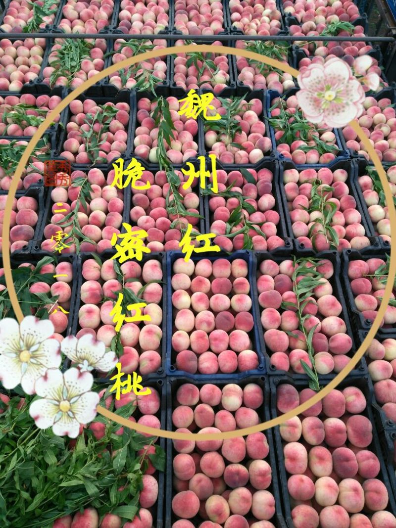 红不软红桃大量上市