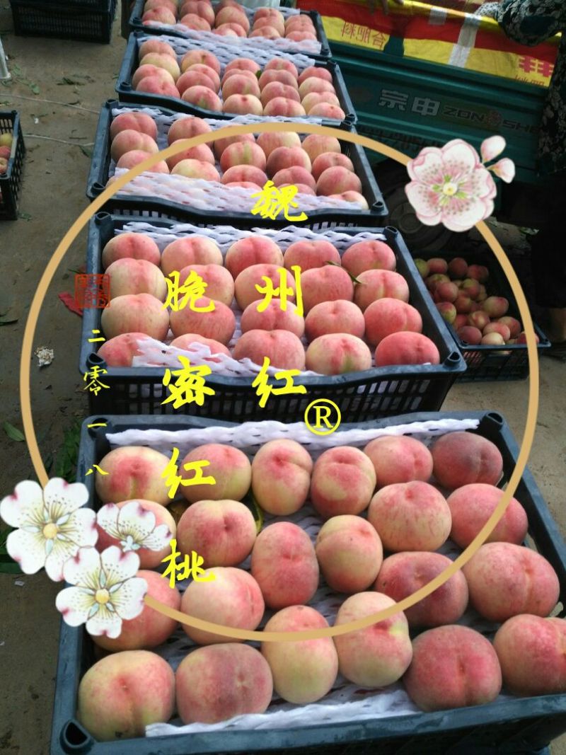 红不软红桃大量上市