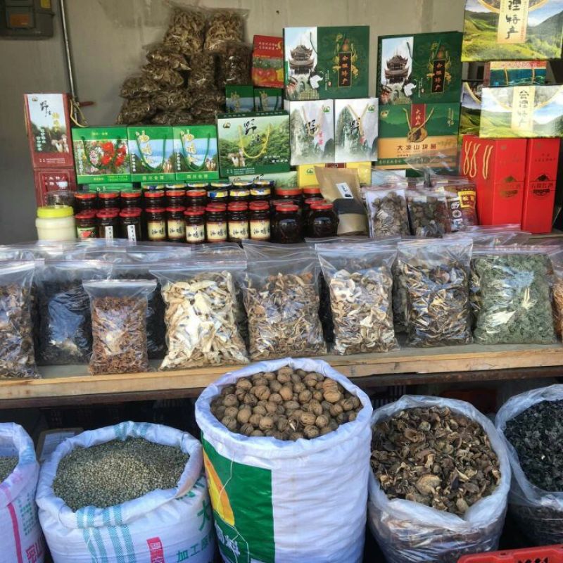 白葱菌会理特产野生蘑菇鲜干货
