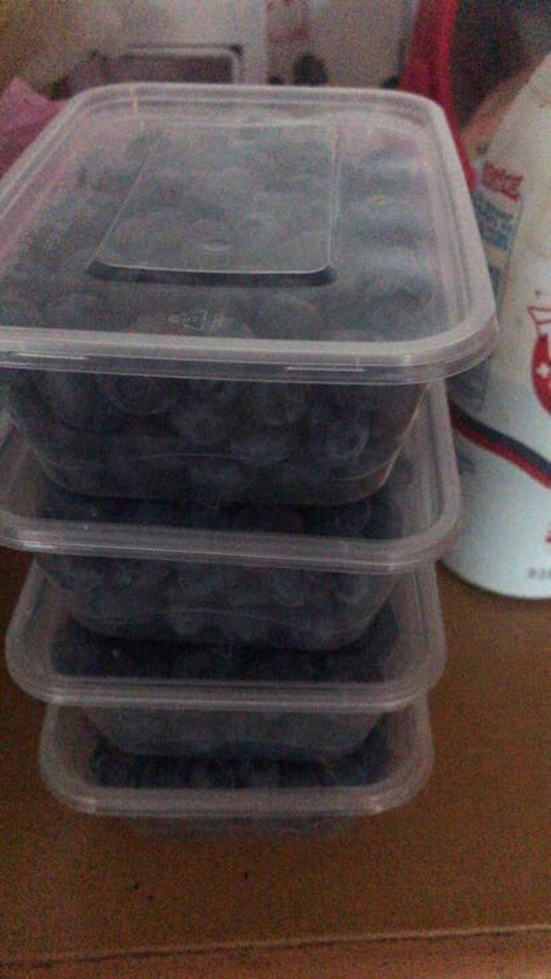 北高丛蓝莓鲜果12~14mm以上
