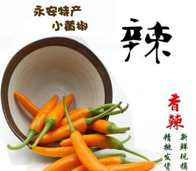 永安黄椒，魔鬼椒，又香又辣