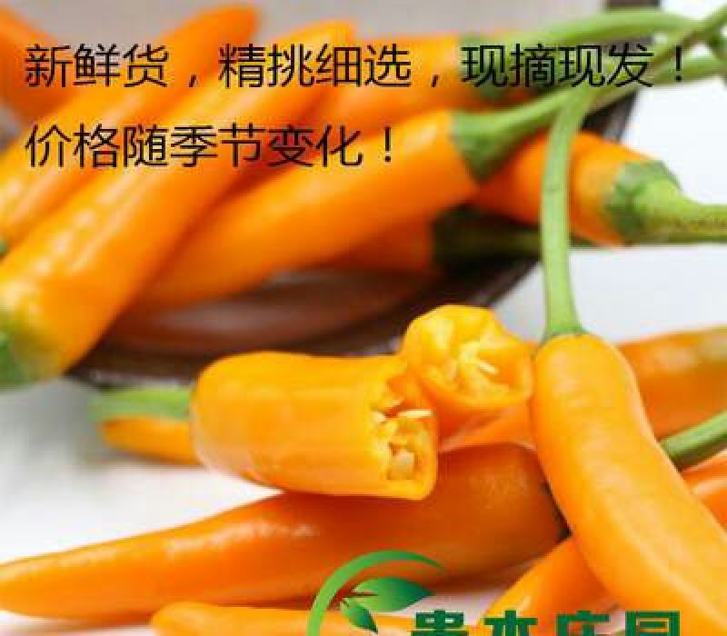 永安黄椒，魔鬼椒，又香又辣