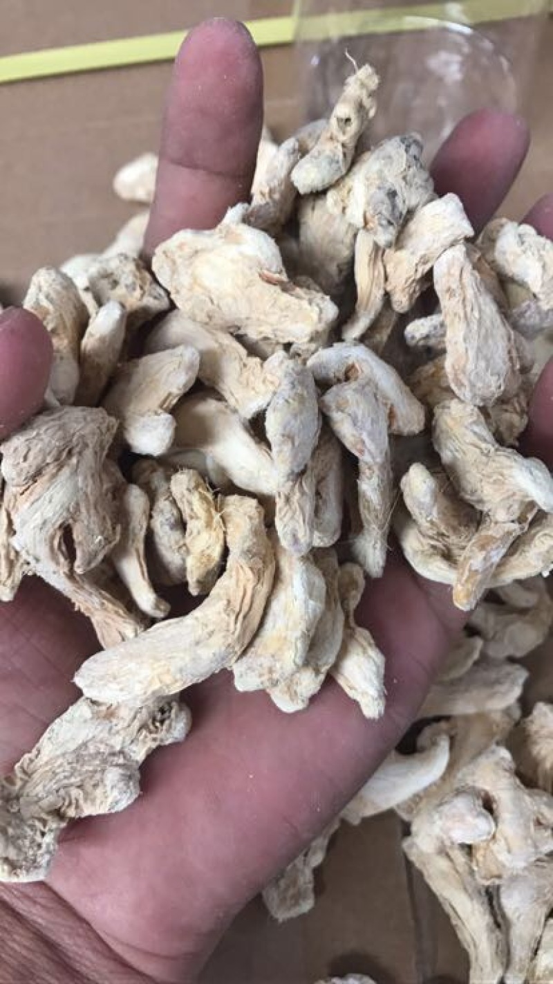 姜粉
