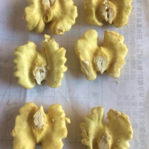 赞皇辽系核桃