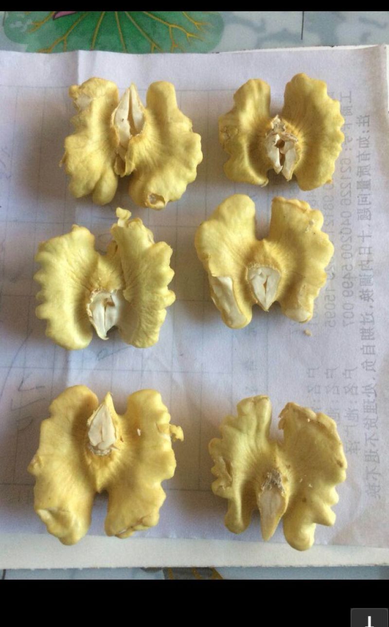 赞皇辽系核桃