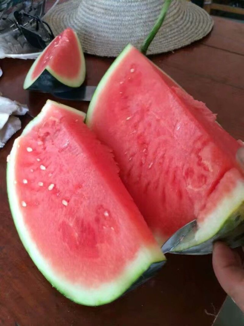 黑皮无籽西瓜，8斤打底
