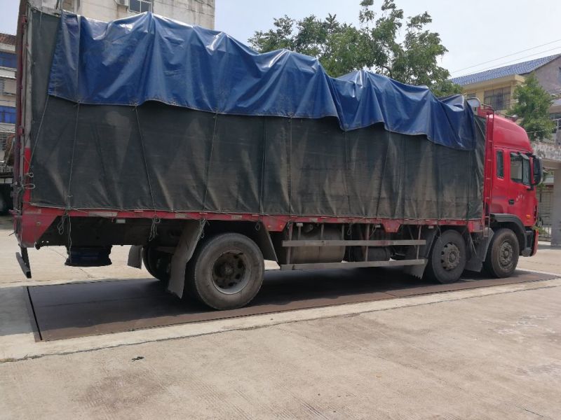 黑皮无籽西瓜，8斤打底
