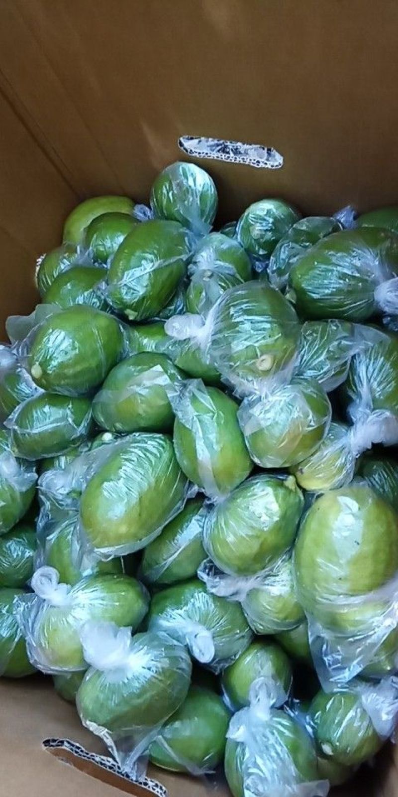 香水柠檬需要的联系我