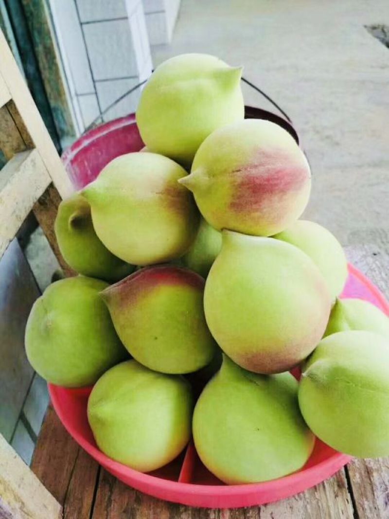 鹰嘴蜜桃甜中带蜜清爽可口