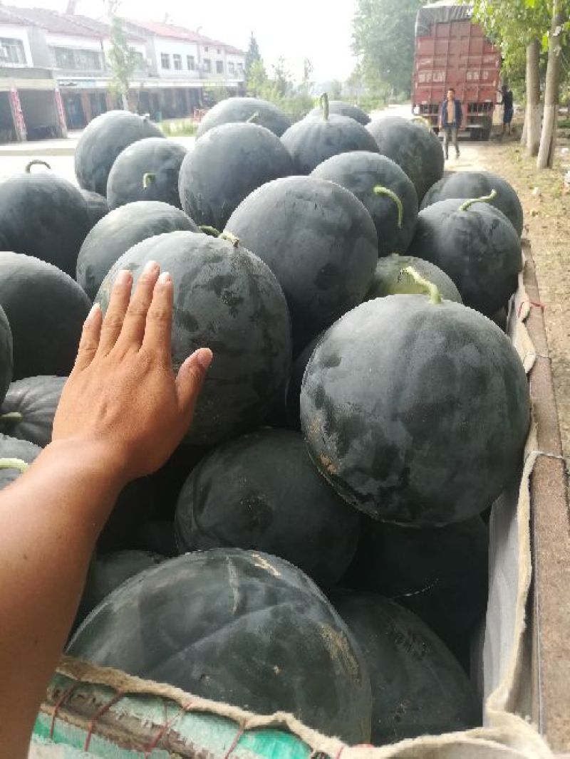 甜，果形好看，色彩好，