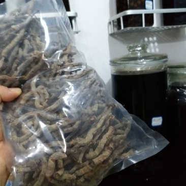 原条干巴戟天泡酒巴戟天