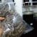 原条干巴戟天泡酒巴戟天
