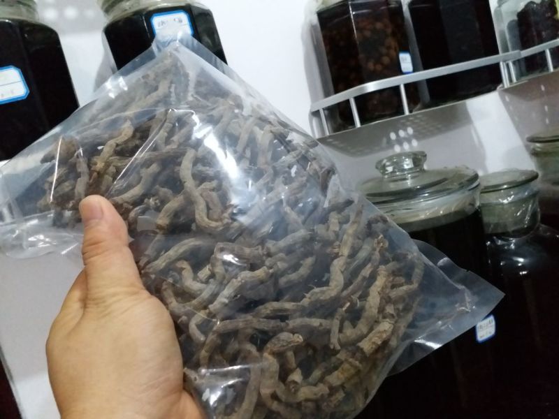 原条干巴戟天泡酒巴戟天