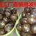 椰子，椰白