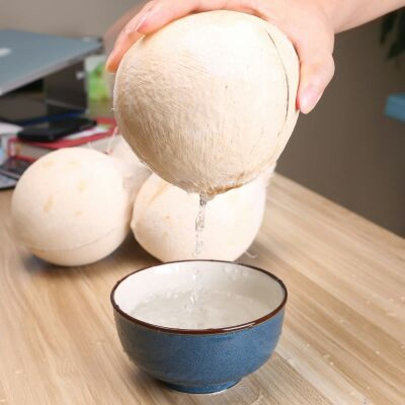 椰子，光椰