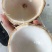 椰子，光椰