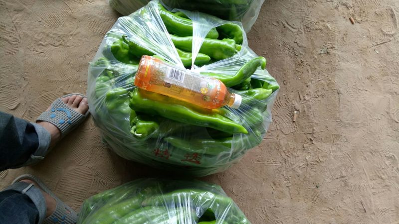 牛角椒露天货刚上市，货源充足，品质保证