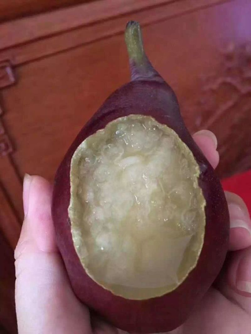 七月红梨批发，红皮铁梨基地价格，贡皮梨产地