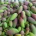 芒果1斤以上10斤装的