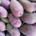芒果1斤以上10斤装的