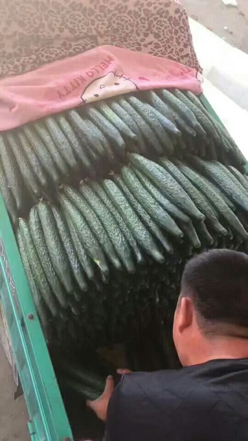 密刺黄瓜18~22公分鲜花带刺。。。