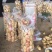 【荷兰十五土豆】精品土豆2两以上黄心土豆品质保障欢迎采购