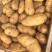 【荷兰十五土豆】精品土豆2两以上黄心土豆品质保障欢迎采购