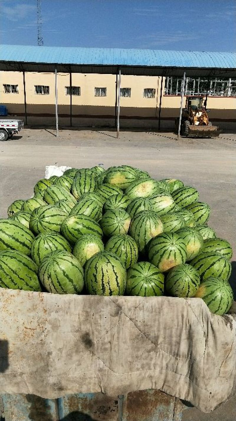 西瓜大量上市，皮薄肉红沙甜可口