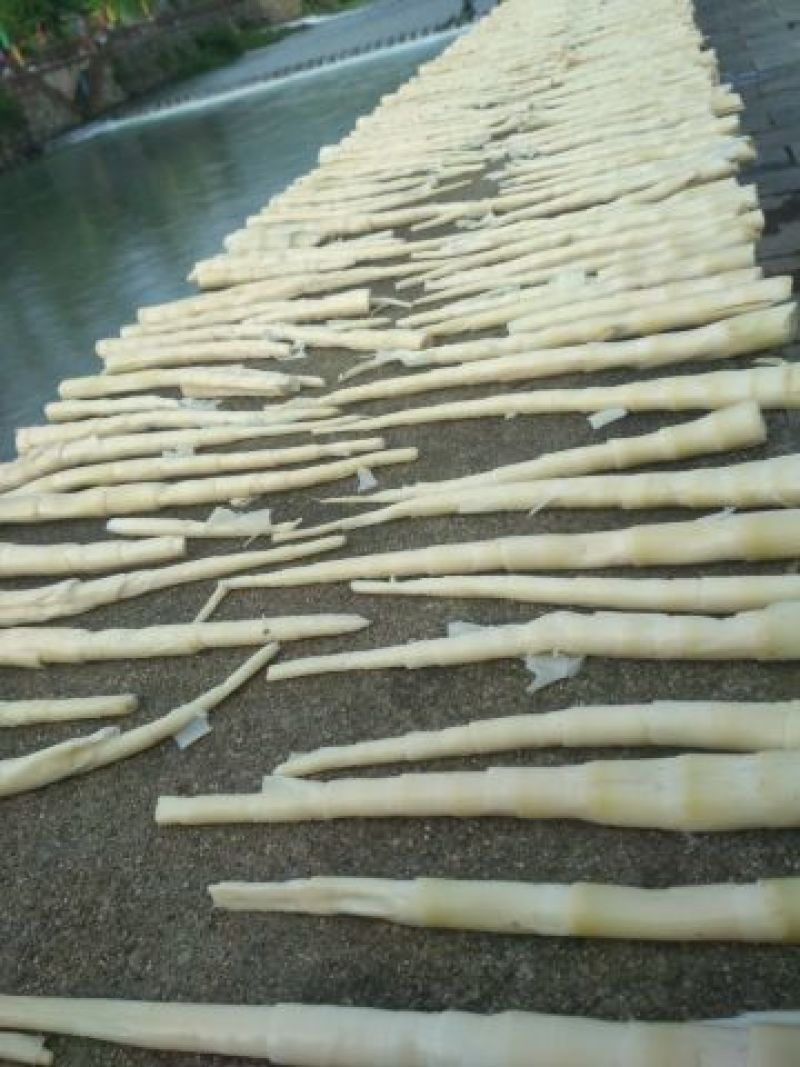 干竹笋