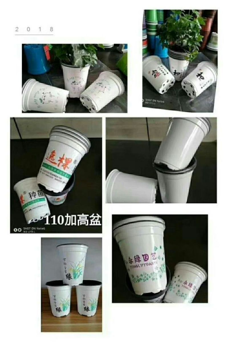 基地专用塑料花盆厂家直销