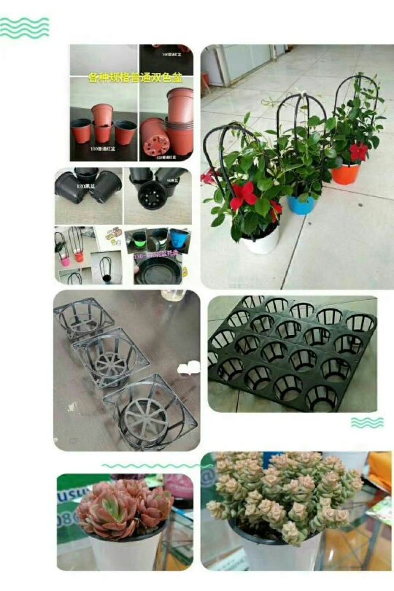基地专用塑料花盆厂家直销
