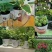 基地专用塑料花盆厂家直销