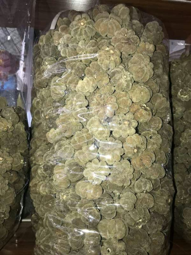 正宗化州橘红正毛果，工艺茶