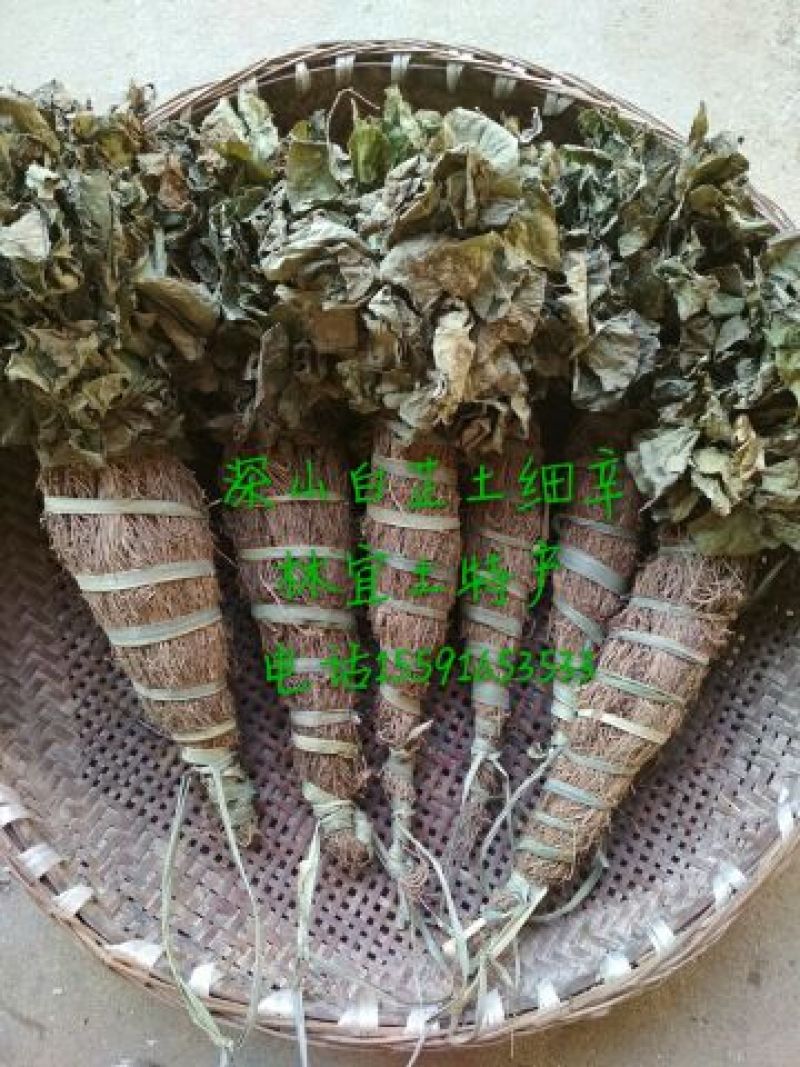 土细辛（马蹄莲）