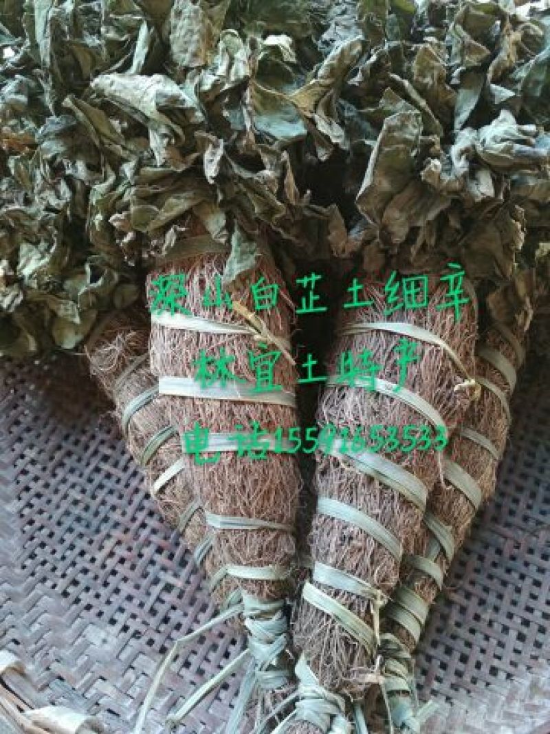 土细辛（马蹄莲）